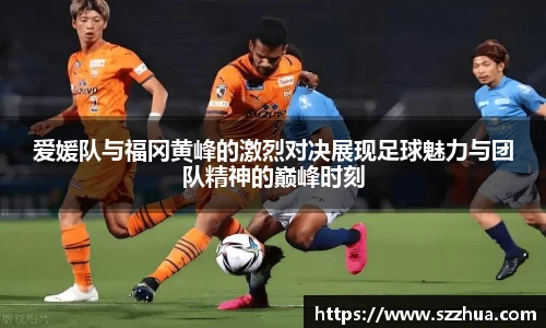 MK体育官方网站